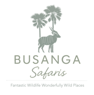 Busanga Safaris logo